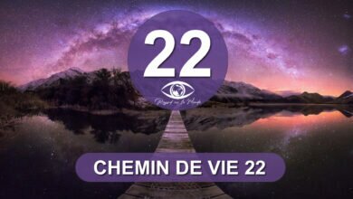 chemin de vie 22 numerologie